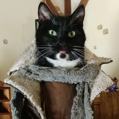 Cat_Cosplay's profile picture