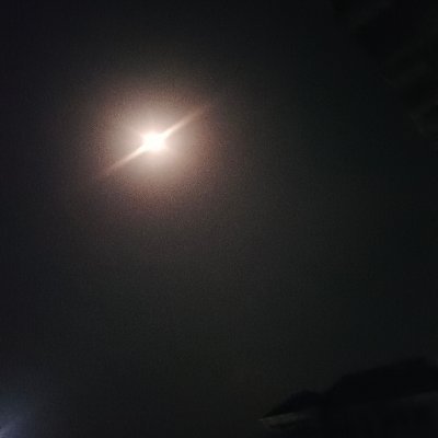 ChaosByAccident's profile picture