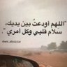 Maysoon Mohammed's profile picture