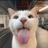 Profilbild von frap