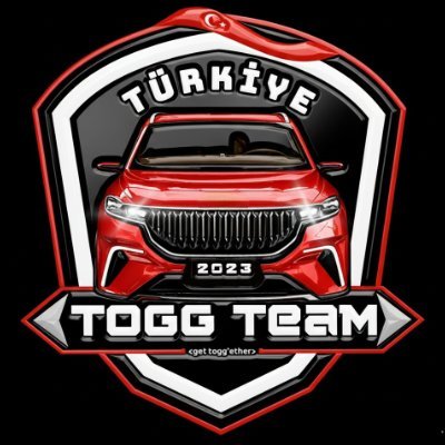 Togg Team Türkiye's profile picture