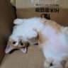 Profilbild von jix li