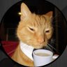 Profilbild von ๅฐไผๅ็็ไบ็ป็ฉถไผๅ็ใ