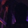 blvckskelly profil fotoğrafı