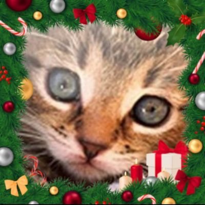mantey's profile picture