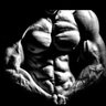أسد الموصل's profile picture