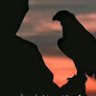 𝓜𝓾𝓱𝓪𝓶𝓶𝓪𝓭 profil fotoğrafı