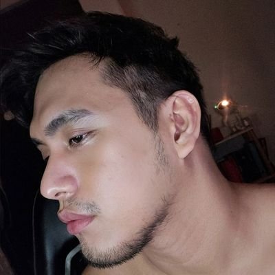 EBOY's profile picture