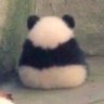Maryoxz's profile picture