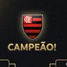 Profilbild von MeuMengãoFC