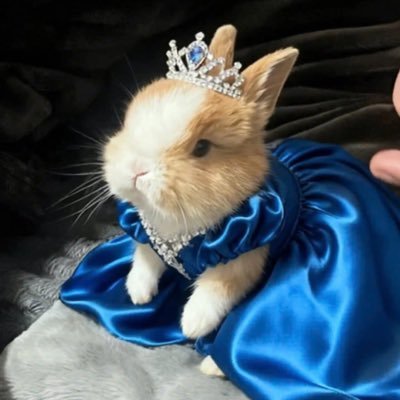 tfembunny's profile picture