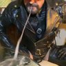 SUB 4 SPIT + PHLEGM MASTERS profil fotoğrafı