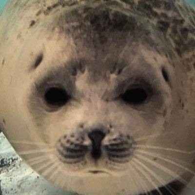 rickey_sea's profile picture