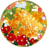 よしこた(未桜) profil fotoğrafı