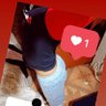 Profilbild von Gary Alexander Garcia Zumaeta