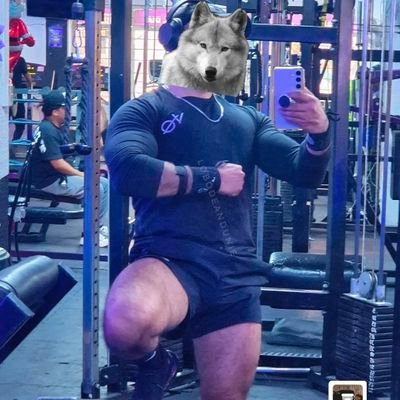 Lobo Plateado en Snezhnaya ❄️'s profile picture