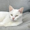MNnICE profil fotoğrafı