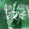 ameralmaliki's profile picture