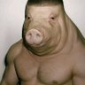 Profilbild von JohnPork