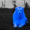 Desmond profil fotoğrafı