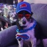 BILLSMAFIA814 的头像
