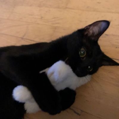 💊 (양도연락줘라)'s profile picture