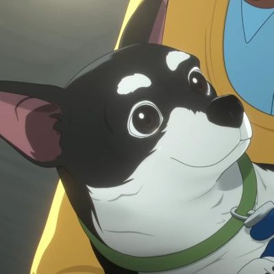 Daily Beef from Dispatch's profile picture