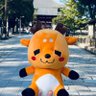 Profilbild von はまゆう