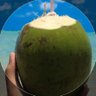 fredds.BR. 的头像