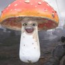 Shroom 的头像