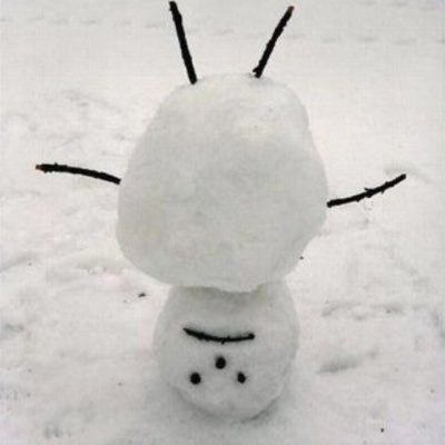 동당's profile picture