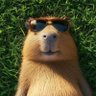 Zeno.id's profile picture