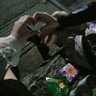 Shake3's profile picture
