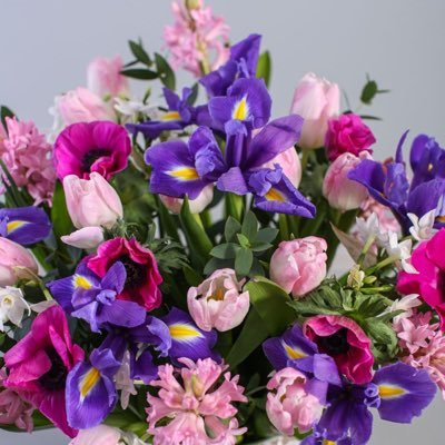 الــنُــور | مُلهمة ᥫ᭡'s profile picture