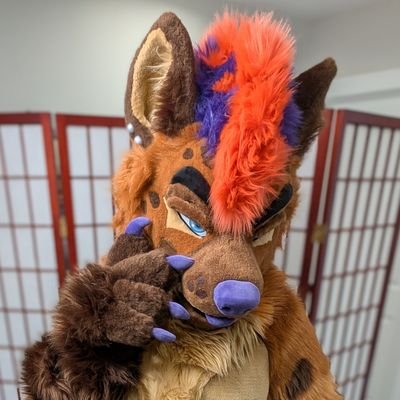 snacksHyena's profile picture