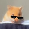 Assag's profile picture