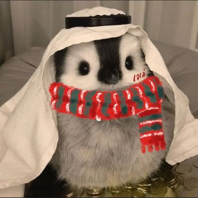 ~เจเล่~'s profile picture