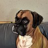 Profilbild von Salty Dog