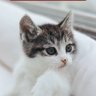 Profilbild von ちぃ