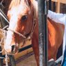 زياد سالم's profile picture