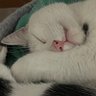 Laura Catherine 5gatti's profile picture