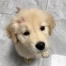พีพี ◡̈'s profile picture