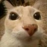 Profilbild von StyvenJFGame