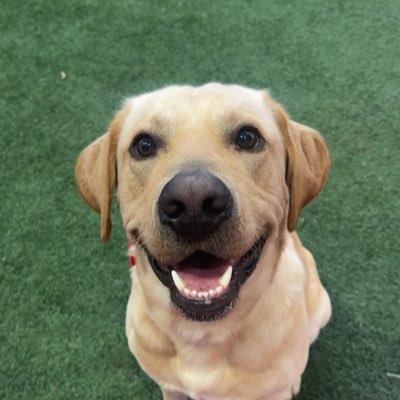 Juice Kiffin's profile picture