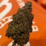 Фото профиля LITTLE_HEAD_83'