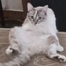 Фото профиля Eddie(?)