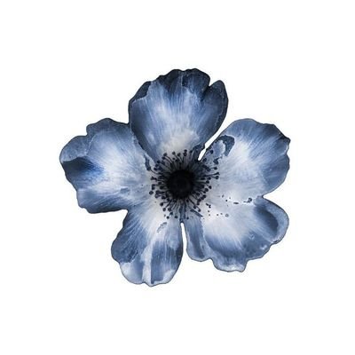 루카's profile picture
