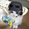 三亿萝莉的梦 profil fotoğrafı