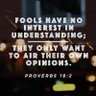 Proverbs 18:2 的头像