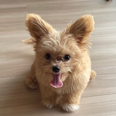 happ_ywannyan's profile picture